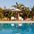 The hotel pool is surrounded by palms, figs, and a flower filled garden.