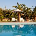 The hotel pool is surrounded by palms, figs, and a flower filled garden.